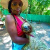 Roatan_Chocolate_Factory_Tour