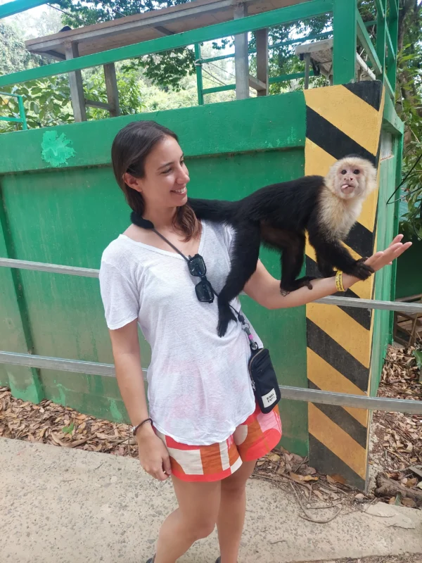 Zipline Adventure and Monkey Sloth Park Experience