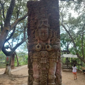 Zipline Adventure and Monkey Sloth Park Experience