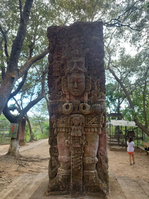 Zipline Adventure and Monkey Sloth Park Experience