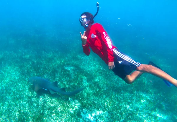 Snorkeling with Nurse Sharks at Pigeon Cay
