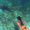 Snorkeling with Nurse Sharks at Pigeon Cay