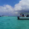 Snorkeling with Nurse Sharks at Pigeon Cay