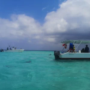Snorkeling with Nurse Sharks at Pigeon Cay