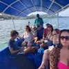 Snorkeling with Nurse Sharks at Pigeon Cay