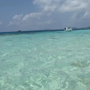Snorkeling with Nurse Sharks at Pigeon Cay