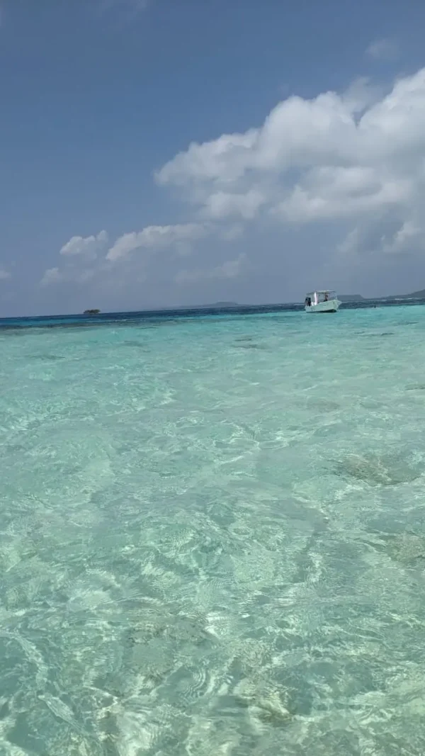 Snorkeling with Nurse Sharks at Pigeon Cay