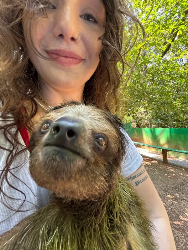 roatan Zipline Adventure and Monkey Sloth Park Experience
