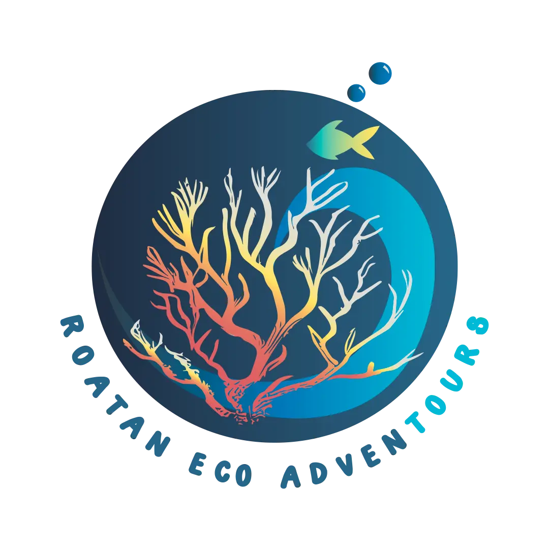 Roatan Eco Adventures and tours