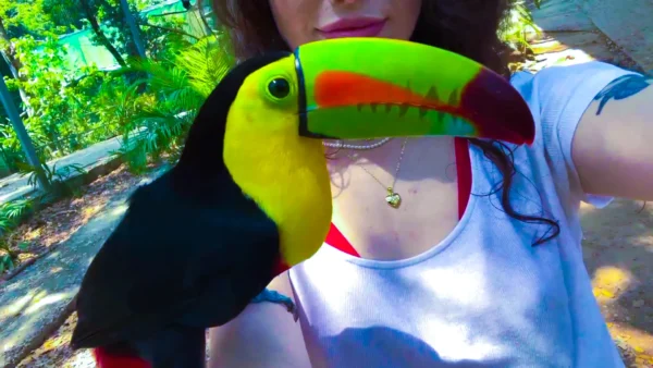 Zipline Adventure and Monkey Sloth Park Experience