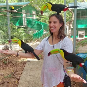 Zipline Adventure and Monkey Sloth Park Experience