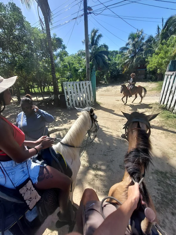 Horseback Riding Adventure in Roatan