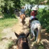 Horseback Riding Adventure in Roatan