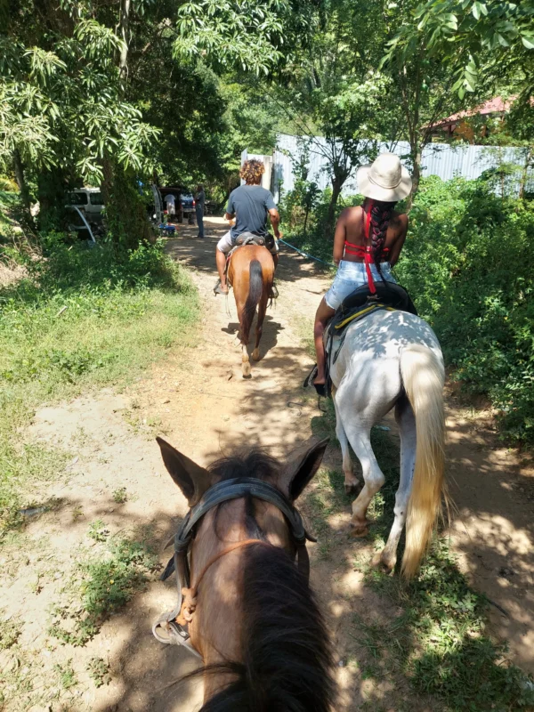 Horseback Riding Adventure in Roatan