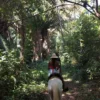 Horseback Riding Adventure in Roatan
