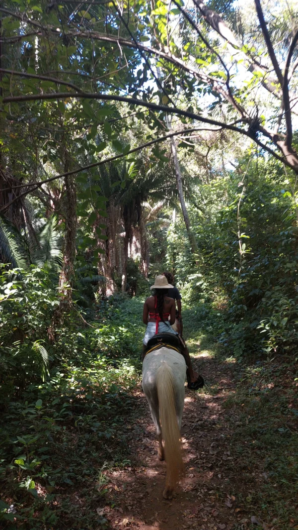 Horseback Riding Adventure in Roatan