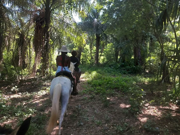 Horseback Riding Adventure in Roatan