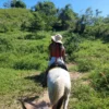 Horseback Riding Adventure in Roatan
