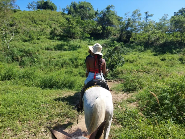 Horseback Riding Adventure in Roatan