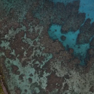 Beach relaxation Roatan