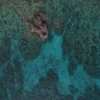 Beach relaxation Roatan