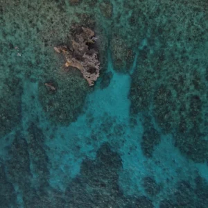 Beach relaxation Roatan