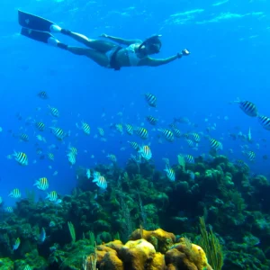Roatan's Shore Snorkel - West Bay or West End