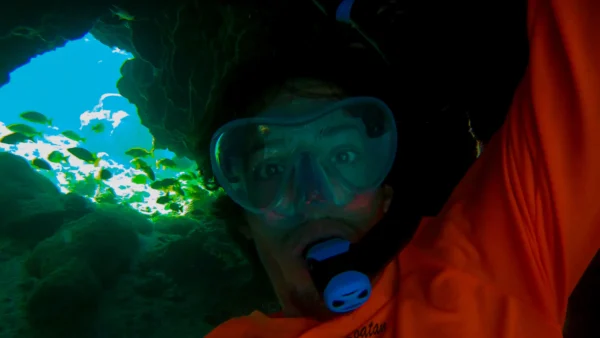Roatan's Shore Snorkel - West Bay or West End