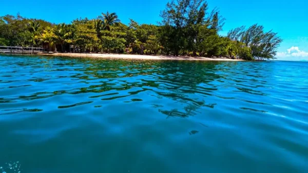 Cultural visit to Punta Gorda, Roatan