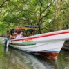 Mangrove exploration in Roatan East End Tour