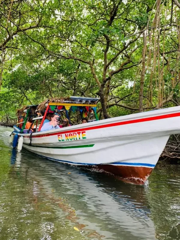 Mangrove exploration in Roatan East End Tour