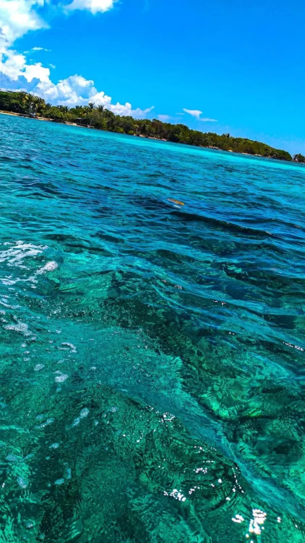 Cultural visit to Punta Gorda, Roatan