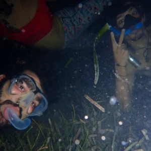 Night Snorkel Experience in Roatan - West Bay & West End