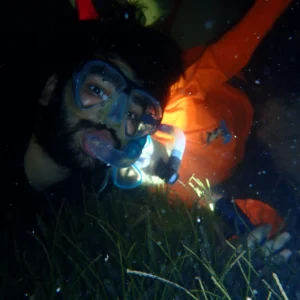 Night Snorkel Experience in Roatan - West Bay & West End