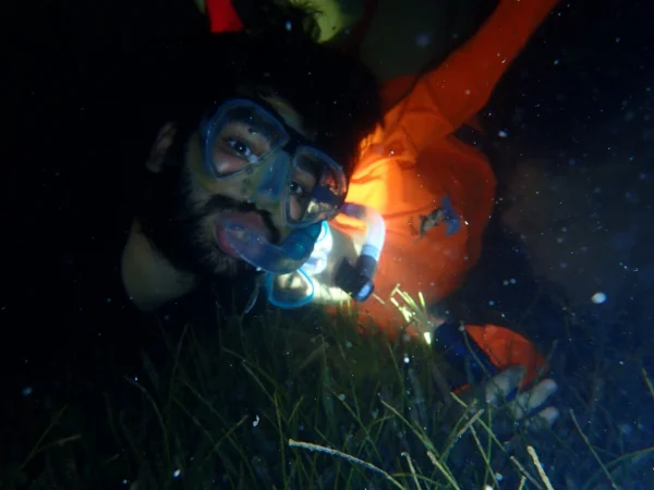 Night Snorkel Experience in Roatan - West Bay & West End