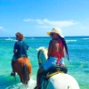 Horseback Riding Adventure in Roatan