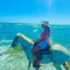 Horseback Riding Adventure in Roatan