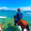Horseback Riding Adventure in Roatan