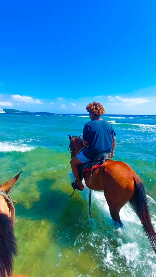 Horseback Riding Adventure in Roatan