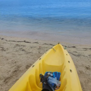 Kayak and Snorkeling at Blue Channel: Aquatic Adventure in Roatan