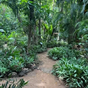 Carambola Gardens Hike: Nature and Exploration in Roatan