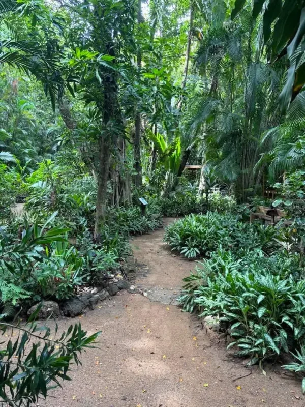 Carambola Gardens Hike: Nature and Exploration in Roatan