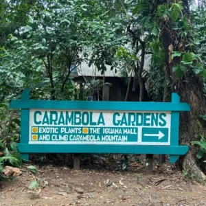 Carambola Gardens Hike: Nature and Exploration in Roatan