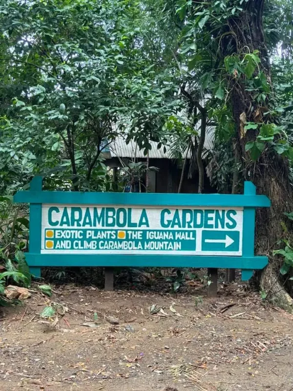 Carambola Gardens Hike: Nature and Exploration in Roatan