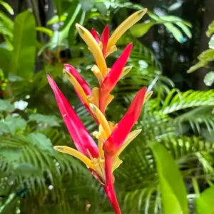 Carambola Gardens Hike: Nature and Exploration in Roatan