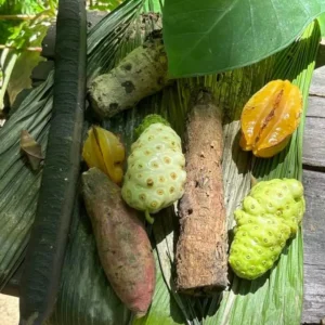 Carambola Gardens Hike: Nature and Exploration in Roatan