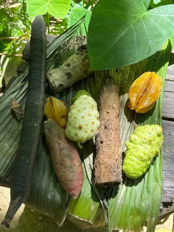 Carambola Gardens Hike: Nature and Exploration in Roatan