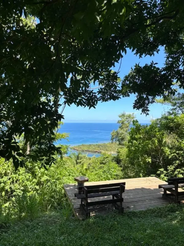 Carambola Gardens Hike: Nature and Exploration in Roatan
