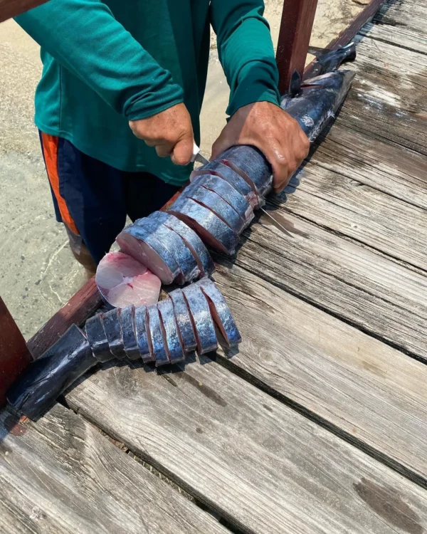 Deep Sea Fishing Adventure in Roatan - Excitement & Relaxation - Image 6