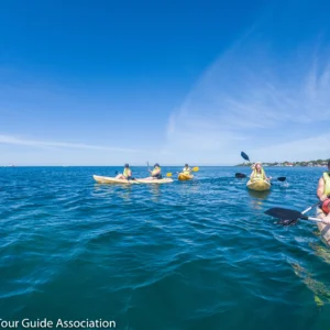 Kayak and Snorkeling at Blue Channel: Aquatic Adventure in Roatan